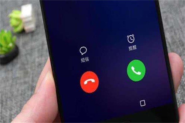 入侵单位话务系统并向诈骗分子出售电话线路