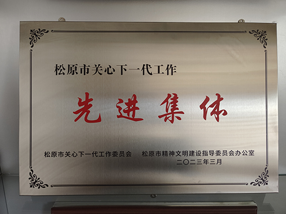 做好涉少案件“审判＋” 前郭法院荣获“松