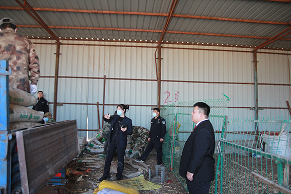 长岭法院：重拳出击！12小时强制腾空15