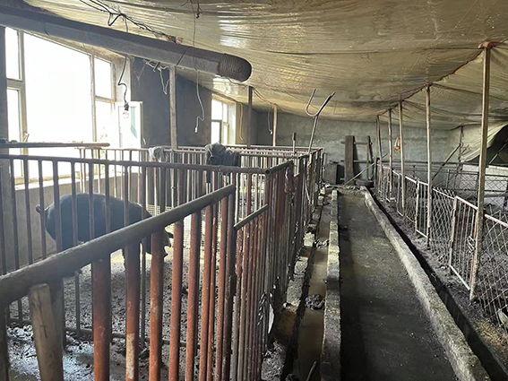 扶余法院：儿孙自有儿孙福 莫给儿孙留“污