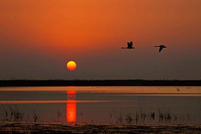 江西鄱阳法院发出《巡湖守护令》