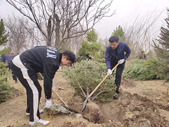 前郭法院：春和景明日 植绿正当时