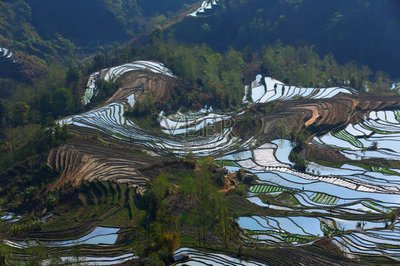 1682228761466226.jpg t011316ade32c77c4de.jpg