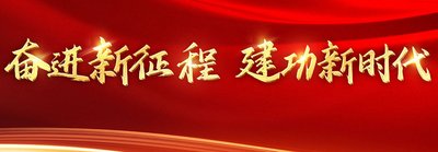 学思想 强党性 重实践 建新功：为奋进新