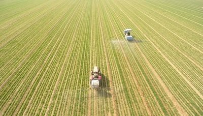 持续深化整治 守好天下粮仓