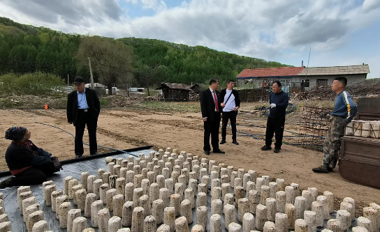 主题教育丨白石山林区基层法院走访调研木耳