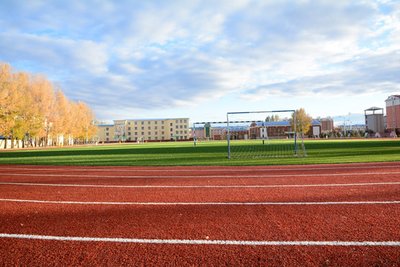 多所中小学多措并举丰富体育教育 让校园体