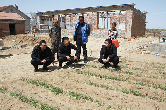 长岭法院|声声问候暖人心 乡村振兴共奋进