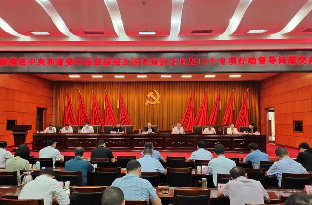 桐柏县召开污染防治攻坚10个专项行动督导