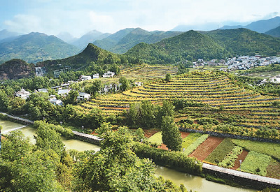 秦岭深处有人家