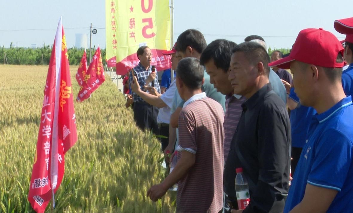 助力乡村振兴  德农农资领航