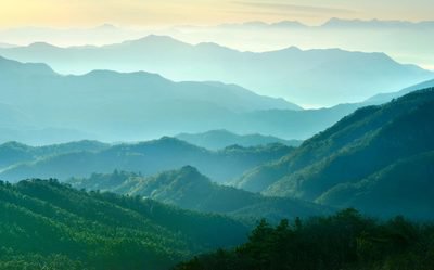 让更多山川披绿、林海生金