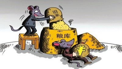 贵州加大线索研判查处力度 专项整治严查粮