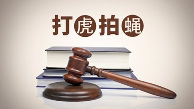 充分发挥审计在反腐治乱方面的重要作用