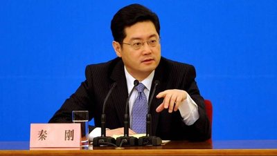 秦刚出席庆祝“非洲日”招待会