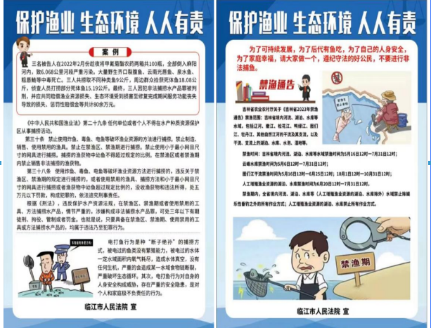 临江法院开展环境资源保护法治宣传活动