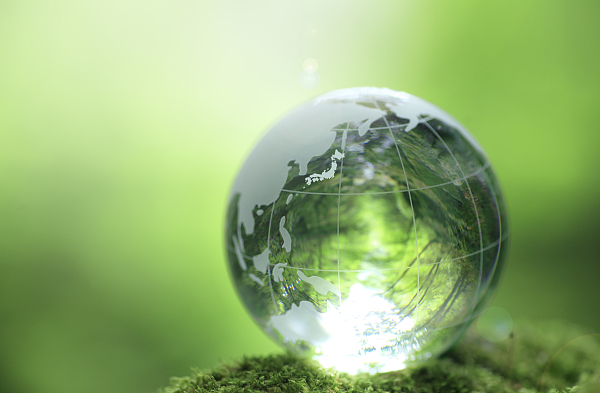 为建设人与自然和谐共生的现代化提供优质司