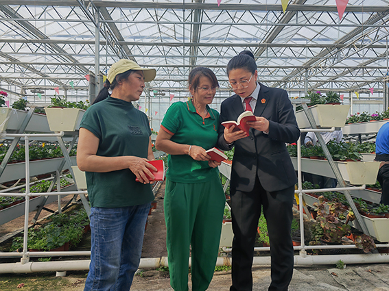 【民法典宣传月】乾安法院：“法”在身边，