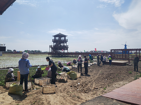 乾安法院│世界环境日 普法正当时！