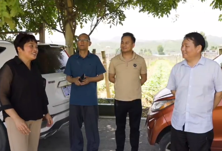 西峡文友走进全国美丽乡村五里桥镇黄狮村猕