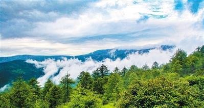 七省份检察机关协同保护秦岭生态环境