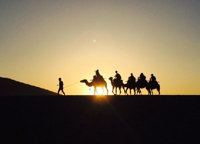 中国必将以更加开放的姿态拥抱世界