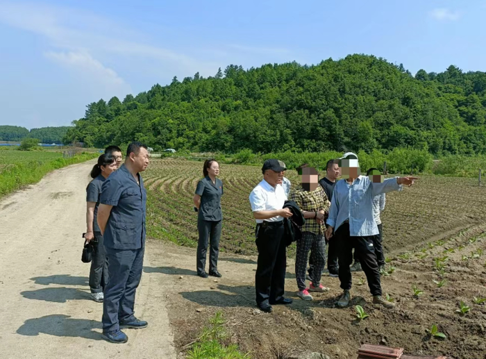 长春林区两级法院依托府院联动化解土地纠纷