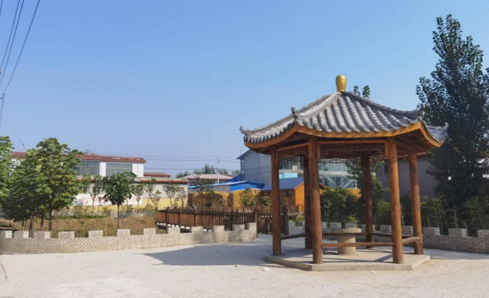 安阳县吕村镇：争创生态宜居星  建设宜居