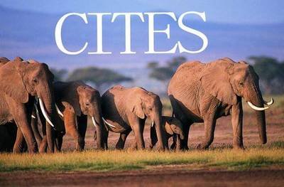 北京海关前5月查获进境濒危动植物及其制品