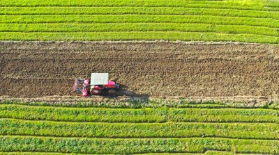 农业社会化服务助力丰收