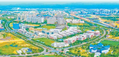 攥紧中国种子 端稳中国饭碗 ——开局之年