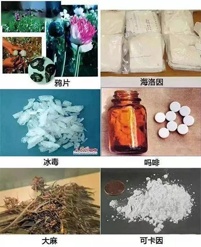 国际禁毒日，法院“小懂”为你解“毒”