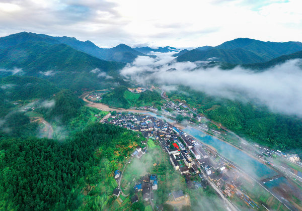 “八八战略”实施20周年：山海城乡，开启