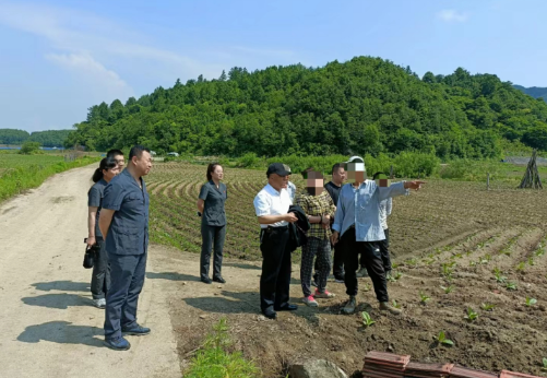 长春林区两级法院依托府院联动化解土地纠纷