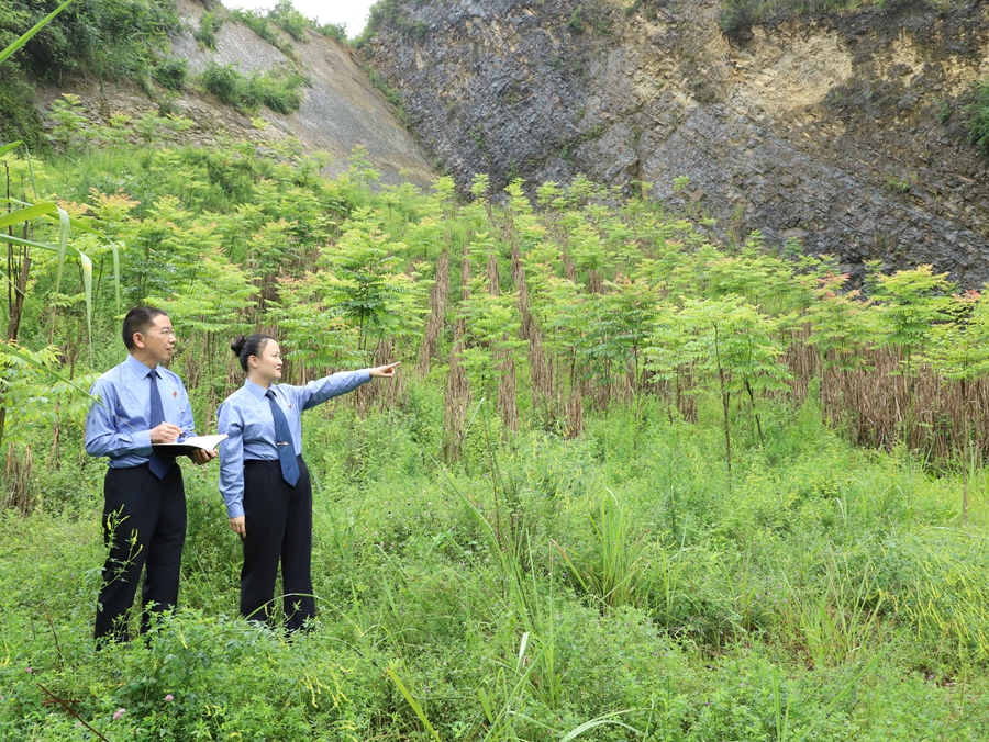 重庆市万州区检察院推动矿山换新颜