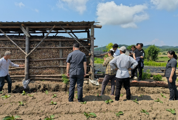 府院联动化解六年矛盾纠纷 促邻里和谐