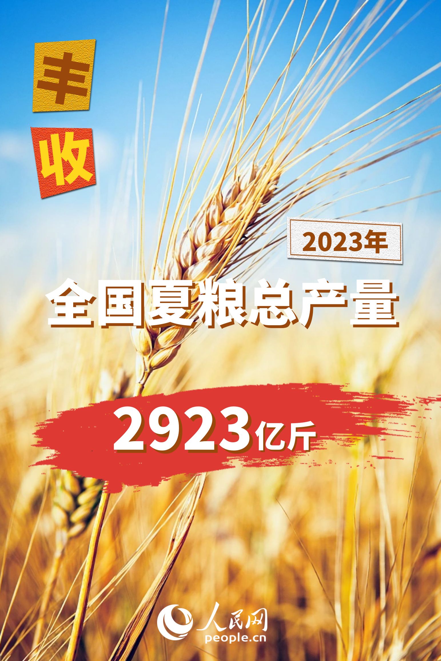 2023年全国夏粮总产量14613万吨 