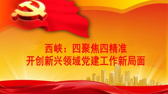 西峡县：四聚焦四精准 开创新兴领域党建工