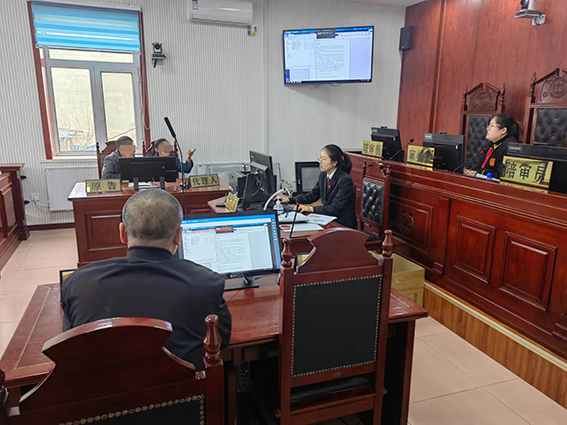 孙艳娟：三井子人民法庭开出的一朵铿锵之花