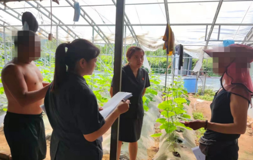 脚上沾满泥土 方显调解温度