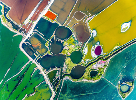 跟着总书记看中国｜讲好生态文明与文化自信