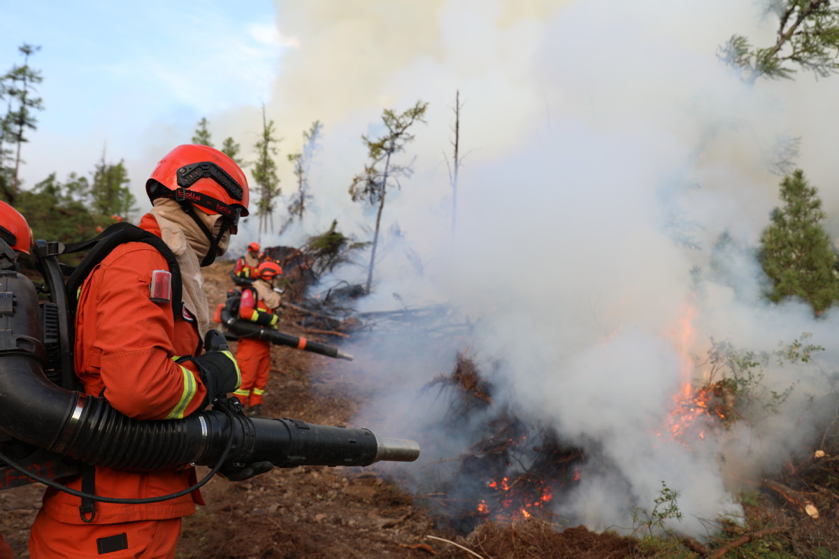 内蒙古大兴安岭发生多起森林火灾 各方正积