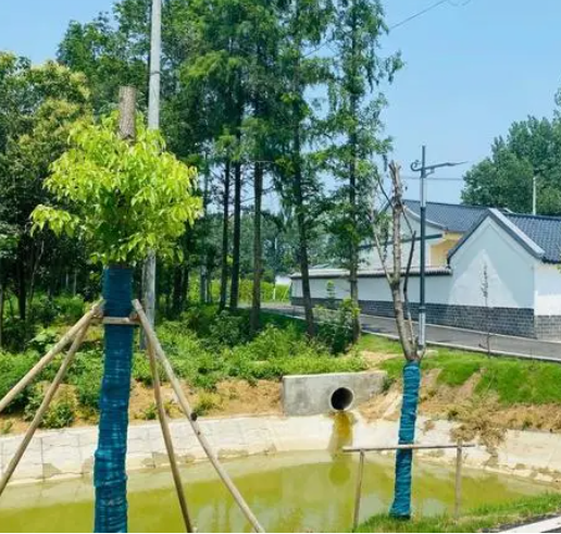 和美乡村，留住乡风乡韵乡愁