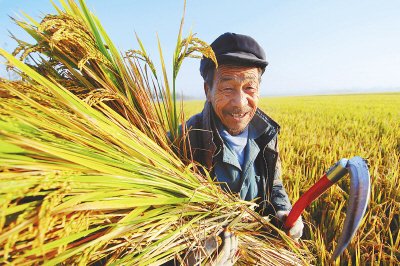 江苏夏粮收购进度超九成