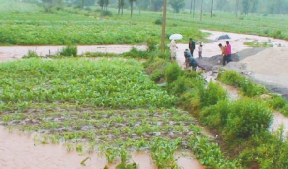 全力恢复灾后农业生产