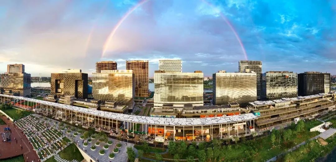 读懂“两山论”的深意丨焦点网谈