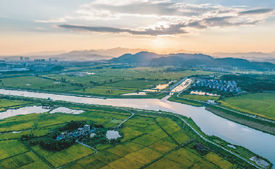 前7月全国一般公共预算收入同比增长11.