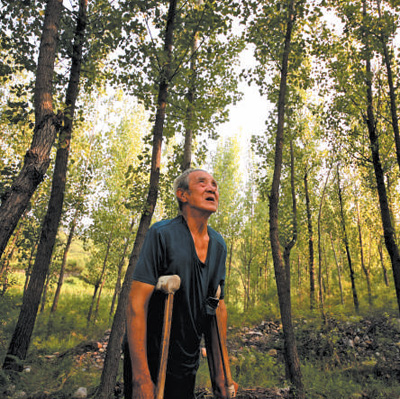 太行山上那片林（逐梦·情系绿水青山）