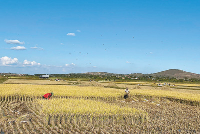 金砖国家农业领域务实合作迈上新台阶（互利