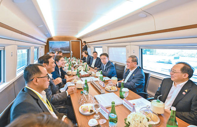 李强考察中印尼合作项目雅万高铁